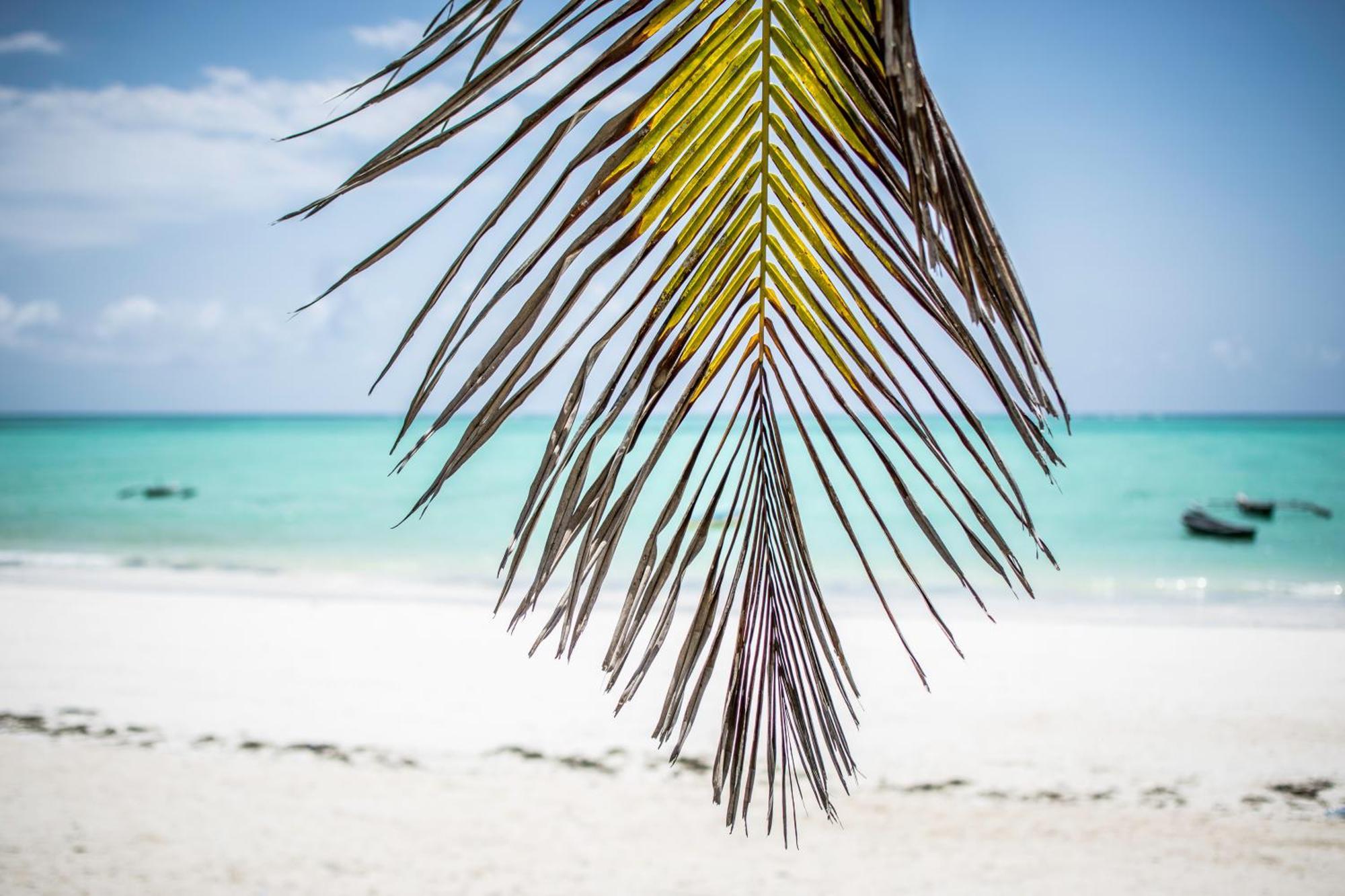 ホテル Mahali Zanzibar パジェ エクステリア 写真